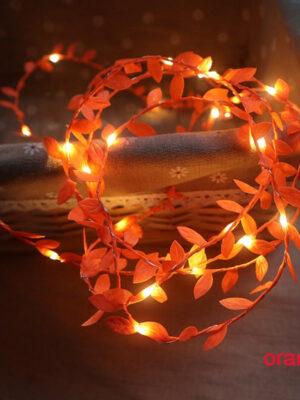 product-image-1623132071